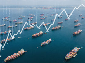 Lighter Ships Choke Supply Chain Daily ScrollDown