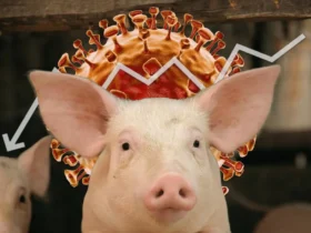 Is there going to be another pandemic?