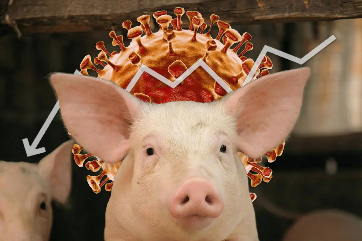 Is there going to be another pandemic?