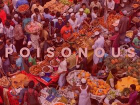 Food safety in countries like Bangladesh, India, Pakistan and the correlation with the economy